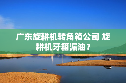 广东旋耕机转角箱公司 旋耕机牙箱漏油？