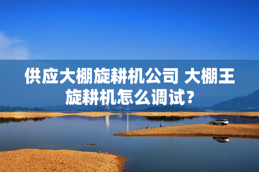 供应大棚旋耕机公司 大棚王旋耕机怎么调试？