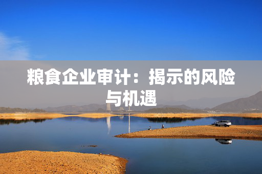 粮食企业审计：揭示的风险与机遇