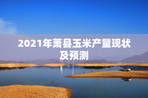 2021年萧县玉米产量现状及预测