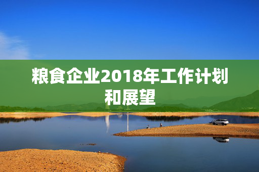 粮食企业2018年工作计划和展望