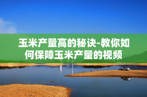 玉米产量高的秘诀-教你如何保障玉米产量的视频