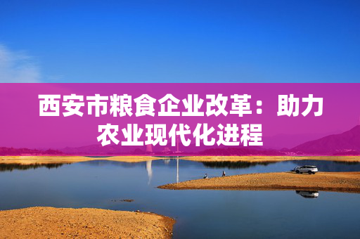 西安市粮食企业改革：助力农业现代化进程