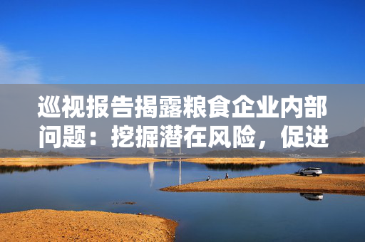 巡视报告揭露粮食企业内部问题：挖掘潜在风险，促进行业健康发展