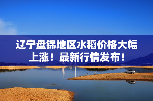 辽宁盘锦地区水稻价格大幅上涨！最新行情发布！