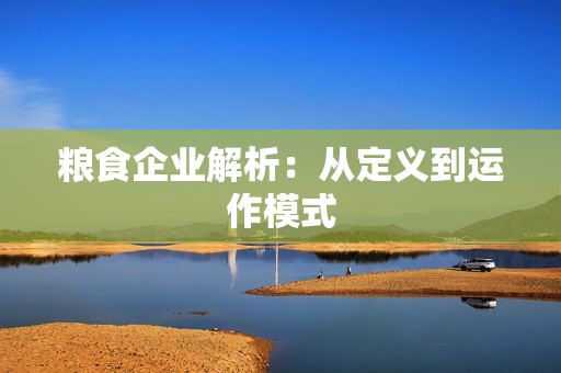 粮食企业解析：从定义到运作模式