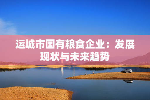 运城市国有粮食企业：发展现状与未来趋势