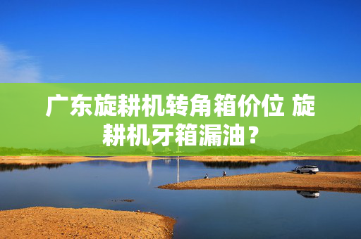广东旋耕机转角箱价位 旋耕机牙箱漏油？