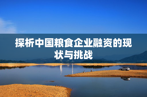 探析中国粮食企业融资的现状与挑战