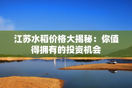 江苏水稻价格大揭秘：你值得拥有的投资机会