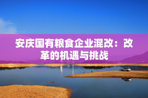安庆国有粮食企业混改：改革的机遇与挑战