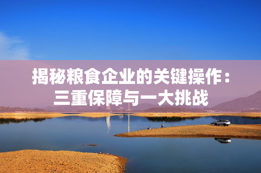 揭秘粮食企业的关键操作：三重保障与一大挑战