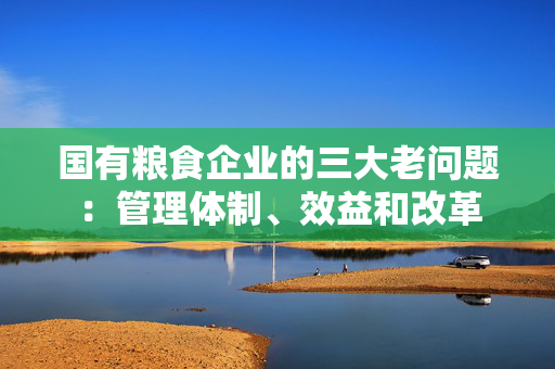 国有粮食企业的三大老问题：管理体制、效益和改革