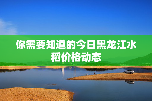 你需要知道的今日黑龙江水稻价格动态
