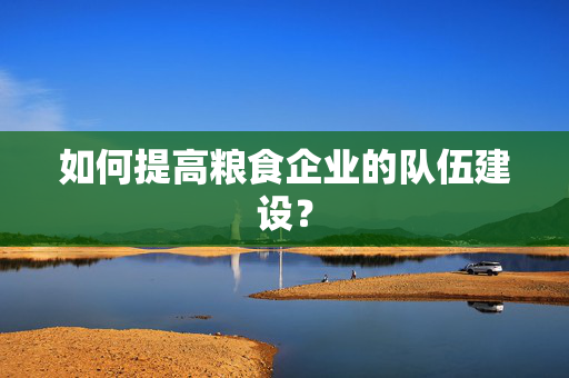 如何提高粮食企业的队伍建设？