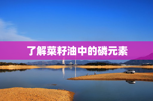 了解菜籽油中的磷元素
