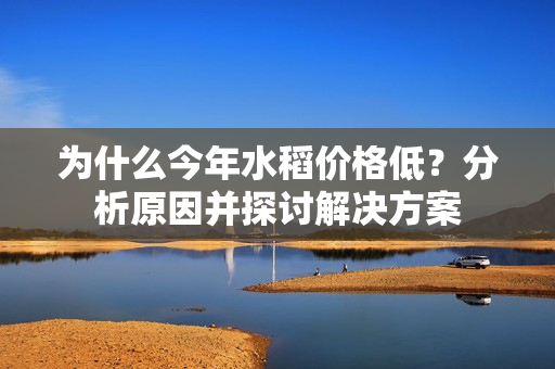 为什么今年水稻价格低？分析原因并探讨解决方案