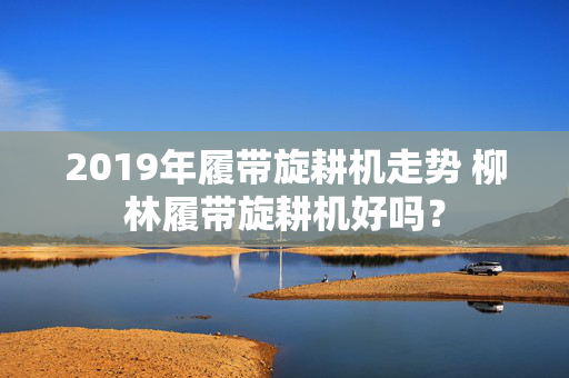 2019年履带旋耕机走势 柳林履带旋耕机好吗？
