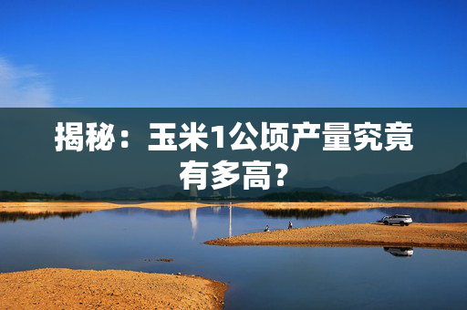 揭秘：玉米1公顷产量究竟有多高？