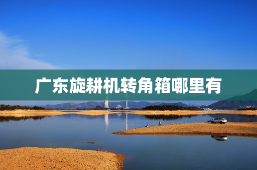 广东旋耕机转角箱哪里有