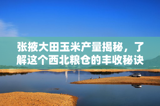 张掖大田玉米产量揭秘，了解这个西北粮仓的丰收秘诀