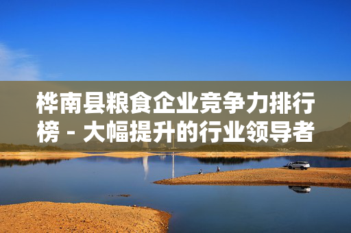 桦南县粮食企业竞争力排行榜 - 大幅提升的行业领导者