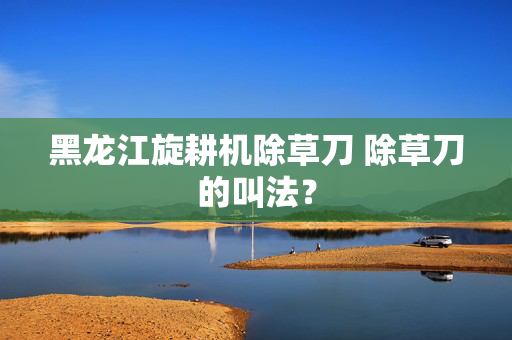 黑龙江旋耕机除草刀 除草刀的叫法？