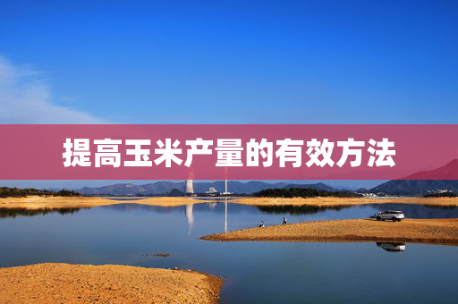提高玉米产量的有效方法