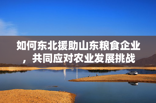 如何东北援助山东粮食企业，共同应对农业发展挑战