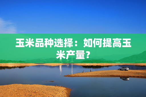 玉米品种选择：如何提高玉米产量？