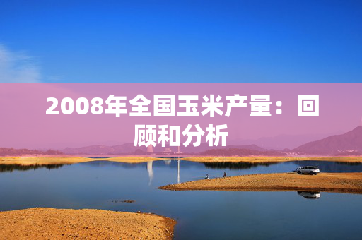 2008年全国玉米产量：回顾和分析
