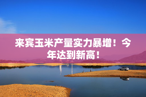 来宾玉米产量实力暴增！今年达到新高！