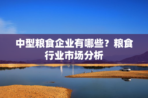 中型粮食企业有哪些？粮食行业市场分析