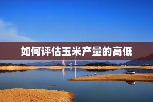 如何评估玉米产量的高低