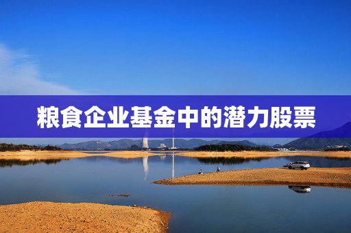 粮食企业基金中的潜力股票