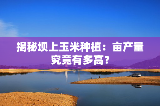 揭秘坝上玉米种植：亩产量究竟有多高？