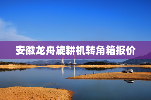 安徽龙舟旋耕机转角箱报价