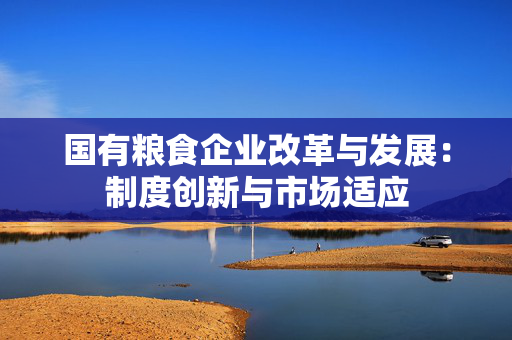 国有粮食企业改革与发展：制度创新与市场适应