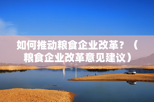 如何推动粮食企业改革？（粮食企业改革意见建议）