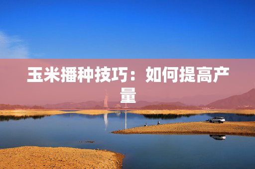 玉米播种技巧：如何提高产量