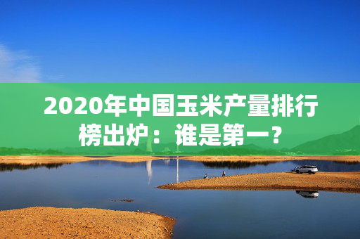 2020年中国玉米产量排行榜出炉：谁是第一？