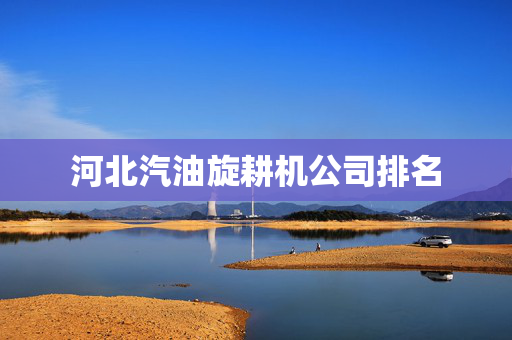 河北汽油旋耕机公司排名