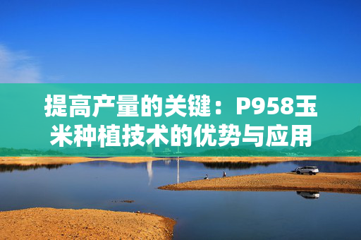 提高产量的关键：P958玉米种植技术的优势与应用