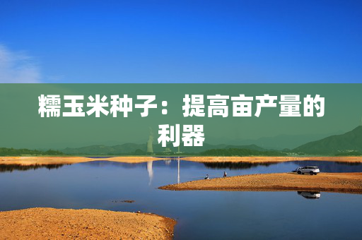糯玉米种子：提高亩产量的利器