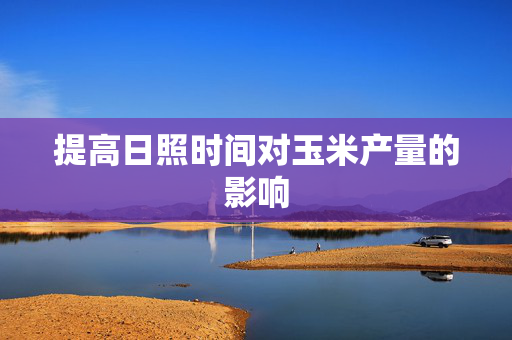 提高日照时间对玉米产量的影响