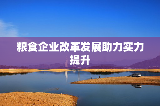 粮食企业改革发展助力实力提升