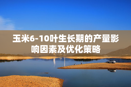 玉米6-10叶生长期的产量影响因素及优化策略