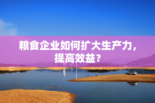 粮食企业如何扩大生产力，提高效益？