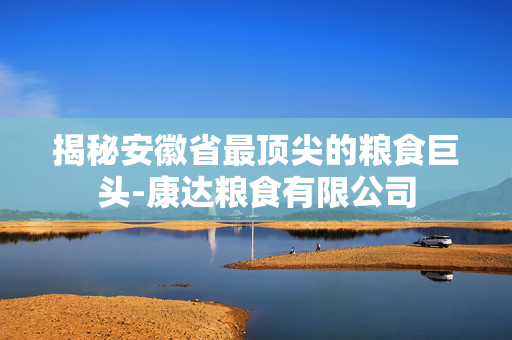 揭秘安徽省最顶尖的粮食巨头-康达粮食有限公司