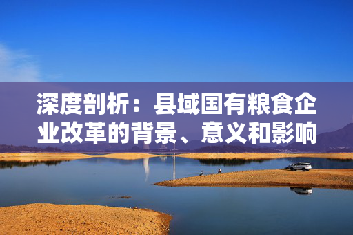 深度剖析：县域国有粮食企业改革的背景、意义和影响